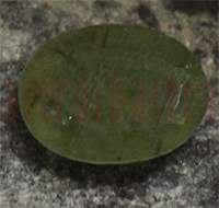 No Image Found